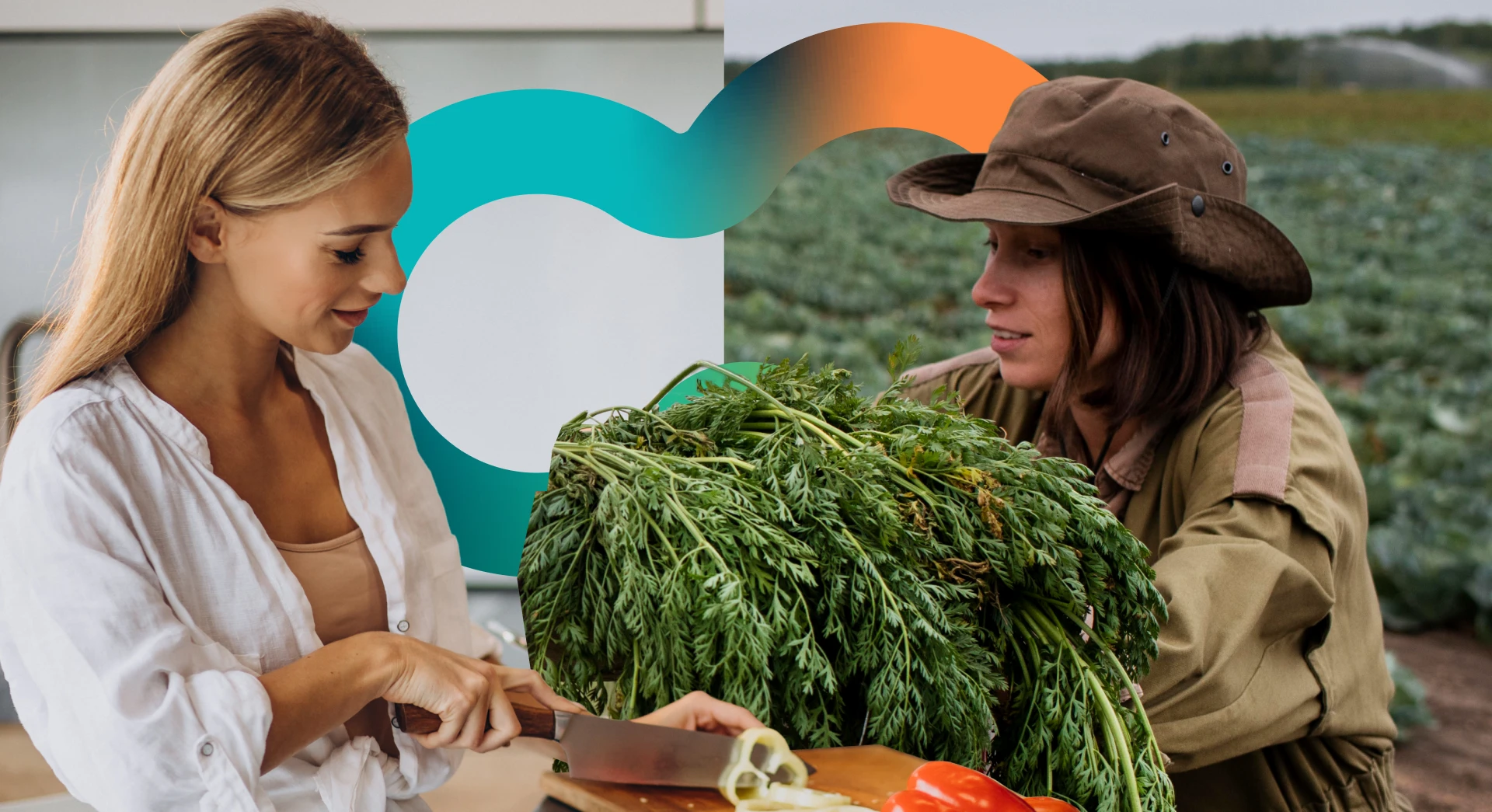 Foodlink - Imagem de amostra